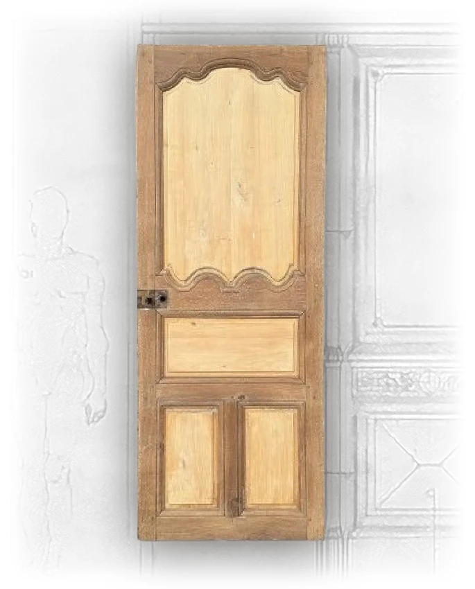 French Oak and Pine Paneled Door - Image 2