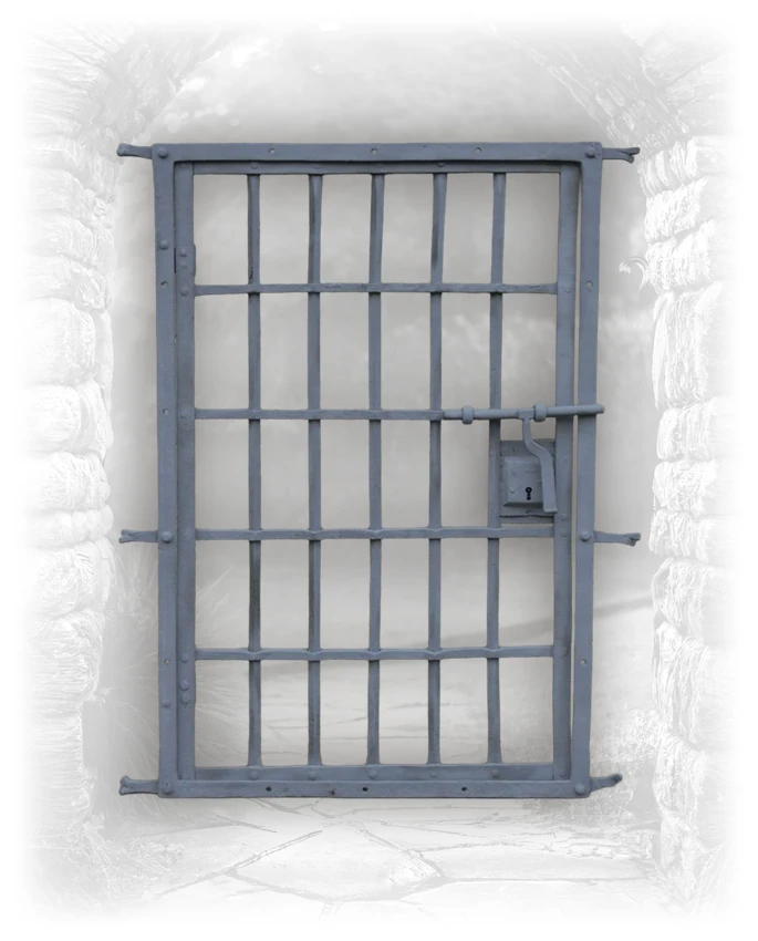 French Iron Window